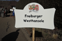 Narrentreffen Ohlsbach